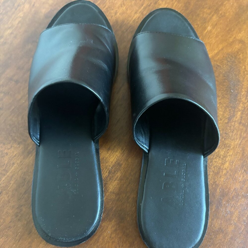 ABLE Black Slides